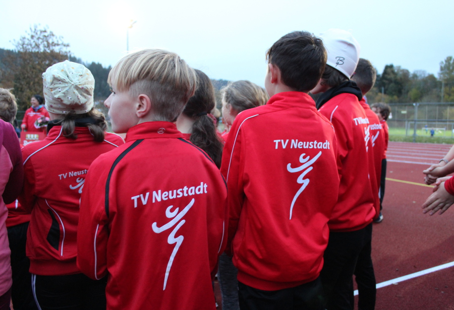 Tv Neustadt In Holstein